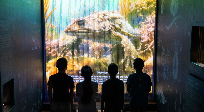 Children look at video in the Worlds Beneath the Waves exhibition in Portsmouth
