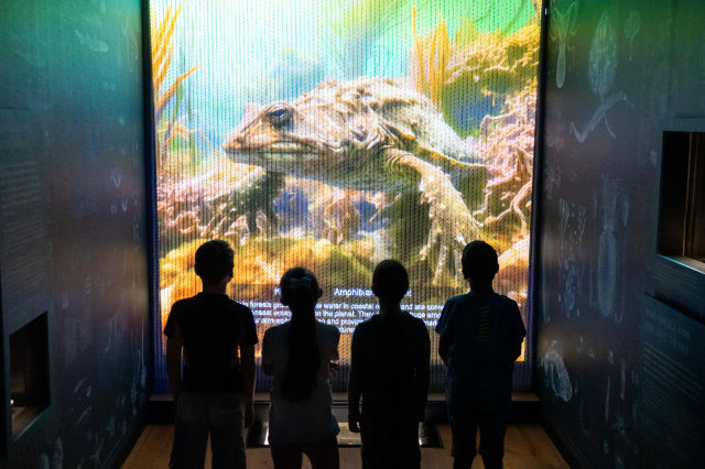 Children look at video in the Worlds Beneath the Waves exhibition in Portsmouth