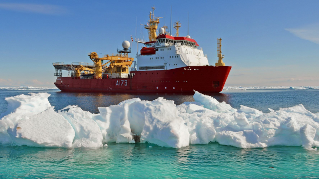 HMS Protector 