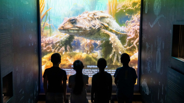 Exhibition in the World Beneath the Waves gallery