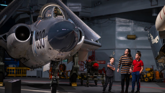 Mother and sons look up at a Royal Navy aircraft