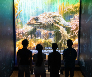 Children look at video in the Worlds Beneath the Waves exhibition in Portsmouth