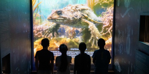 Children look at video in the Worlds Beneath the Waves exhibition in Portsmouth